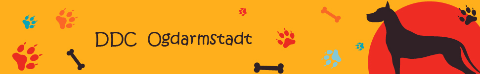 Main banner logo
